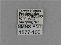 曲紋袖弄蝶藏品圖，第3張