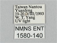 銀端帶鉤蛾藏品圖，第3張