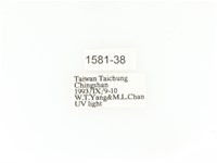 小扇角金龜藏品圖，第2張