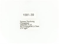 小扇角金龜藏品圖，第2張