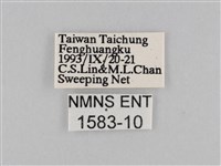 褐翅蔭眼蝶藏品圖，第3張
