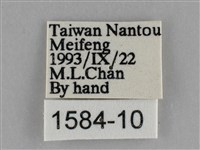 遷粉蝶、淡黃蝶藏品圖，第3張