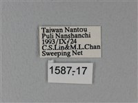 異粉蝶、雌白黃蝶藏品圖，第3張