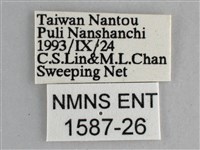 黯眼蛺蝶藏品圖，第3張