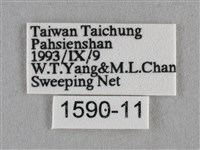 波灰蝶藏品圖，第3張