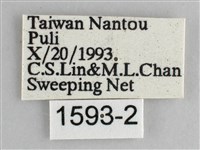 森林暮眼蝶、黑樹蔭蝶藏品圖，第3張