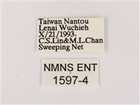 嫵琉灰蝶藏品圖，第3張