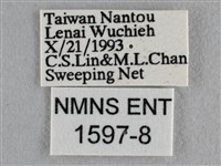 波灰蝶藏品圖，第3張