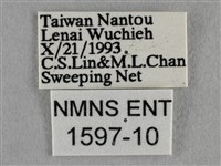 波灰蝶藏品圖，第3張