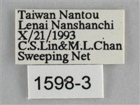 琉璃蛺蝶藏品圖，第3張
