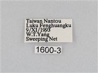 深山黛眼蝶藏品圖，第3張