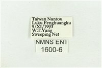 深山黛眼蝶藏品圖，第3張