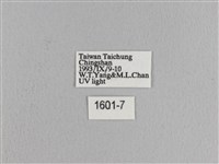 松大毛蟲藏品圖，第3張