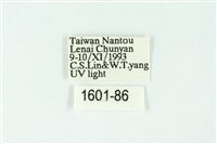 三色豔苔蛾藏品圖，第3張