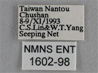 雅波灰蝶藏品圖，第3張