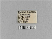 川邊氏枯葉蛾藏品圖，第3張