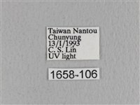 川邊氏枯葉蛾藏品圖，第3張