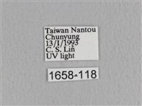 川邊氏枯葉蛾藏品圖，第3張