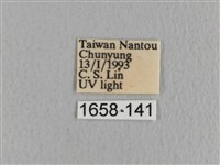 川邊氏枯葉蛾藏品圖，第3張