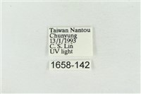 素木氏美波紋蛾藏品圖，第3張