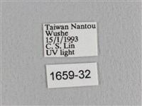 川邊氏枯葉蛾藏品圖，第3張