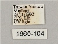 井上氏絨毛天蛾藏品圖，第3張