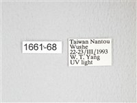 圓翅大鉤蛾藏品圖，第3張