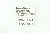 乳白斑燈蛾藏品圖，第3張