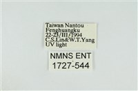 黑翅黃毒蛾藏品圖，第3張