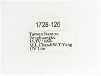 艷金龜藏品圖，第2張