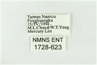 素木綠刺蛾藏品圖，第3張