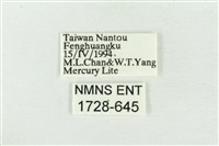 臺洒波紋蛾藏品圖，第3張