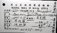 基氏盾牌蟹藏品圖，第12張