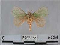 登錄號:002002-00068藏品圖，第1張