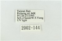 素木氏美波紋蛾藏品圖，第3張