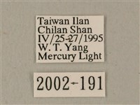 白點天蛾 藏品圖，第3張