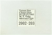 棍棒污燈蛾藏品圖，第3張