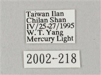 白點天蛾 藏品圖，第3張