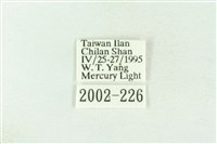 棍棒污燈蛾藏品圖，第3張