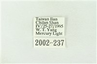 棍棒污燈蛾藏品圖，第3張