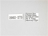 泛綠背線天蛾藏品圖，第3張