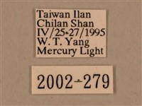 背中白天蛾藏品圖，第3張