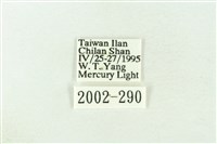 棍棒污燈蛾藏品圖，第3張