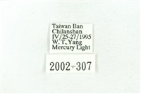 臺雪苔蛾藏品圖，第3張