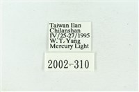 臺雪苔蛾藏品圖，第3張