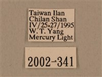 背中白天蛾藏品圖，第3張