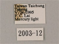 白點天蛾 藏品圖，第3張