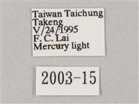 白點天蛾 藏品圖，第3張