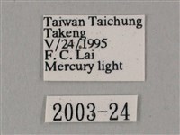 白點天蛾 藏品圖，第3張