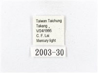 木毒蛾藏品圖，第3張